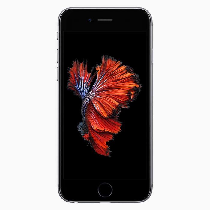Intiem bloemblad werkgelegenheid iPhone 6S 16GB Space Grey kopen? Kies refurbished! | Forza